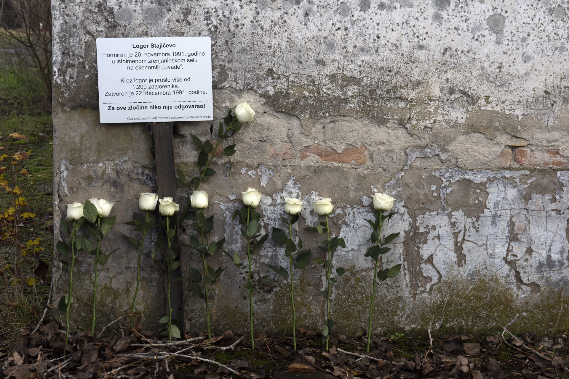 Poseta mestu logora Stajićevo Poseta mestu logora Stajićevo